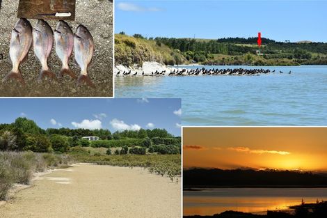 Photo of property in 245 Metcalfe Road, Matakohe, 0593