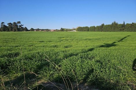 Photo of property in 1a College Street, Oamaru North, Oamaru, 9400