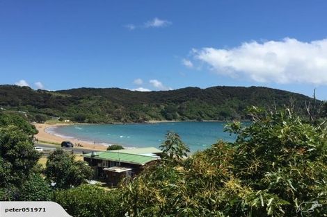 Photo of property in 133 Long Beach Road, Russell, 0202