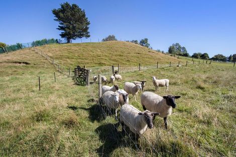 Photo of property in 580 Wright Road, Aongatete, Katikati, 3181