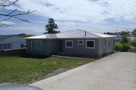 Photo of property in 51 Webster Avenue, Mount Roskill, Auckland, 1041
