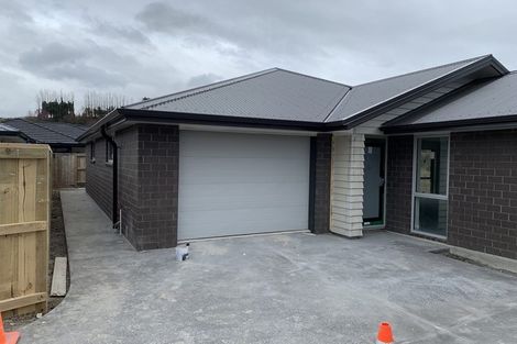Photo of property in 119 Whakaturou Crescent, Pyes Pa, Tauranga, 3112