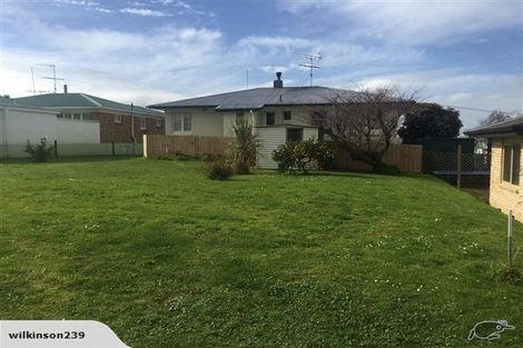 Photo of property in 157a Queen Street, Pukekohe, 2120