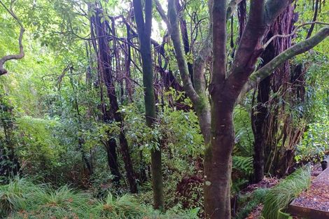 Photo of property in 480b Youngson Road, Whakamarama, 3179