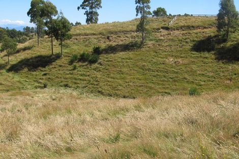 Photo of property in 317 Otake Road, Marotiri, Taupo, 3377