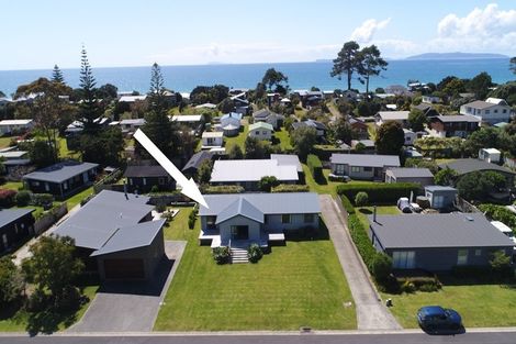 Photo of property in 115 Opera Place, Whangapoua, Coromandel, 3582