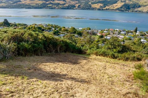 Photo of property in 61 Manapouri Street, Ravensbourne, Dunedin, 9022