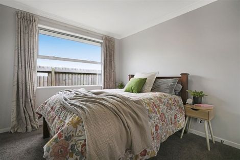 Photo of property in 19 Waterford Road, Tinwald, Ashburton, 7700