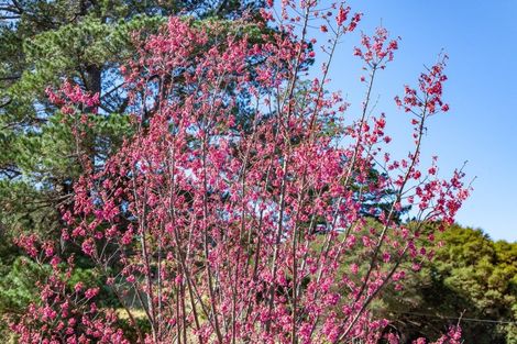 Photo of property in 227 Reservoir Road, Thames, 3500