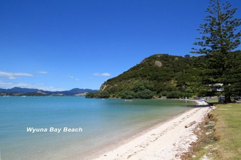 Photo of property in 2195 Wyuna Bay Road, Wyuna Bay, Coromandel, 3581