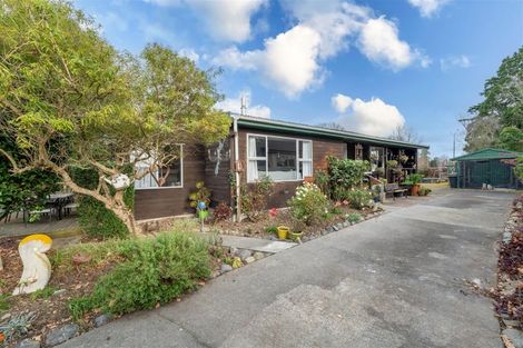 Photo of property in 42 Hislop Street, Geraldine, 7930