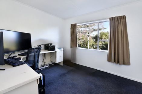 Photo of property in 17 Hunter Avenue, Richmond, 7020