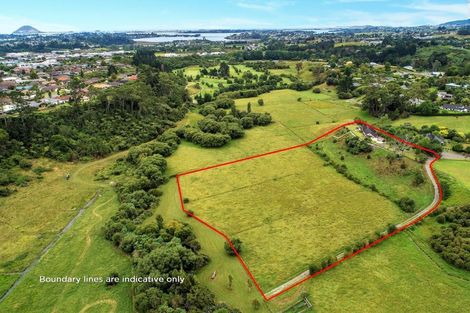 Photo of property in 19 Waioroi Place, Oropi, Tauranga, 3173