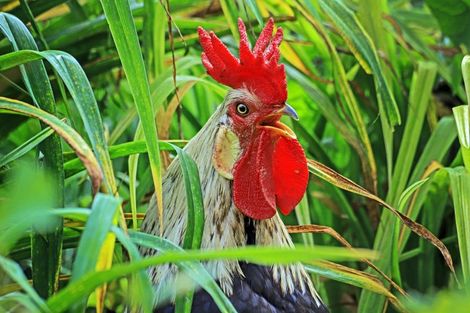 Photo of property in 37 Gillies Crescent, Waimarama, Havelock North, 4294