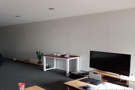 Photo of property in Republic Apartments, 3d/11 Tennyson Street, Te Aro, Wellington, 6011