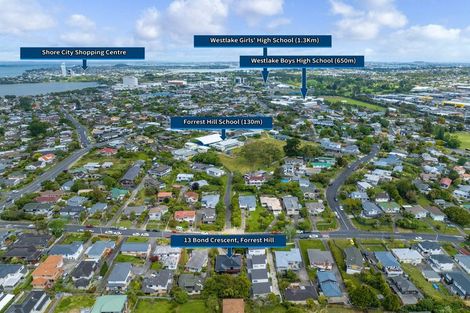 Photo of property in 13 Bond Crescent, Forrest Hill, Auckland, 0620