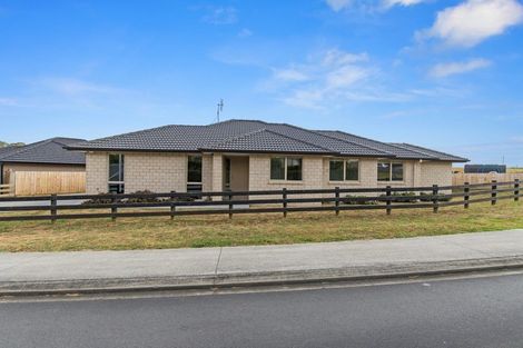 Photo of property in 31 Eccles Avenue, Te Kauwhata, 3710