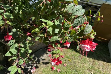 Photo of property in 19 Chums Road, Paraparaumu Beach, Paraparaumu, 5032