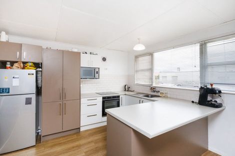 Photo of property in 151 Manchester Street, Feilding, 4702