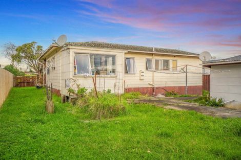 Photo of property in 25 Dissmeyer Drive, Clover Park, Auckland, 2019