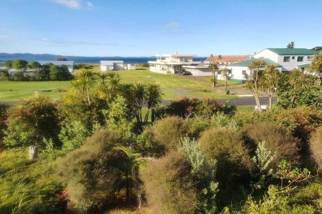 Photo of property in 301 Big Bay Road, Manukau Heads, Awhitu, 2684