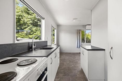 Photo of property in 207a Wolseley Street, Mayfair, Hastings, 4122