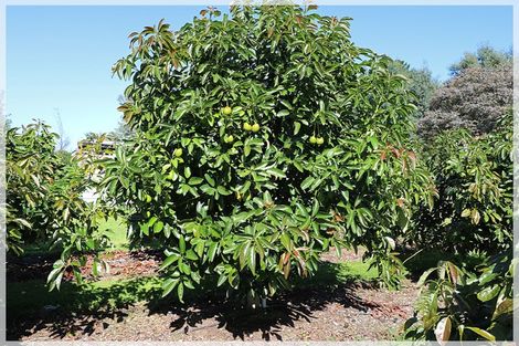 Photo of property in 286 Wall Road, Foxton, 4891