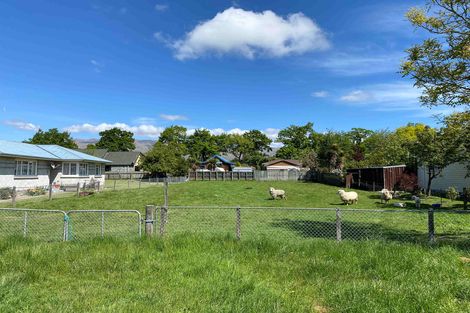 Photo of property in 23 Gray Street, Fairlie, 7925