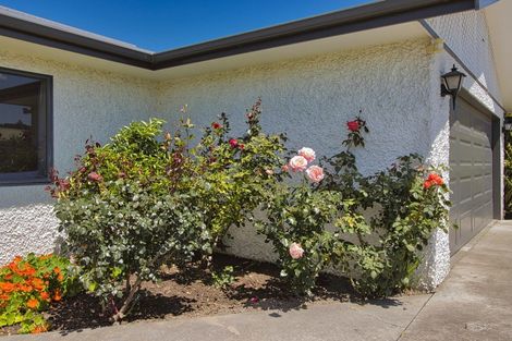 Photo of property in 71 Avenue Road, Greenmeadows, Napier, 4112
