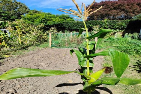 Photo of property in 55 Williamson Avenue, Belmont, Auckland, 0622