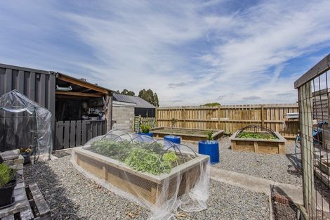 Photo of property in 21 Bank Street, Amberley, 7410