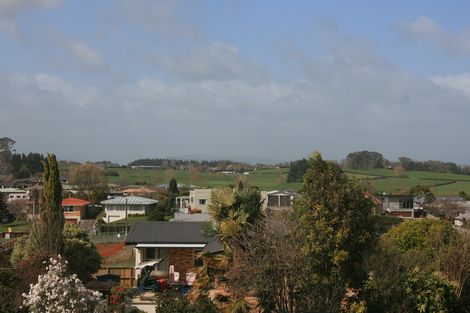 Photo of property in 222 Te Tomo Street, Te Awamutu, 3800