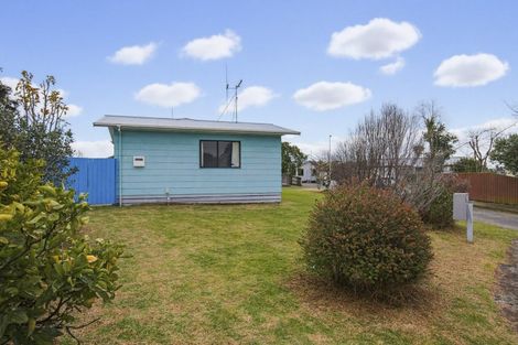Photo of property in 23 Douglas Street, Levin, 5510