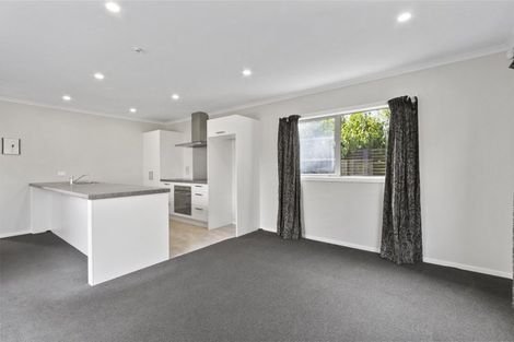 Photo of property in 51 Tennille Street, Flagstaff, Hamilton, 3210