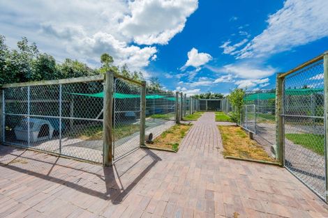 Photo of property in 1981 Omakau Chatto Ck Road, Chatto Creek, Alexandra, 9393