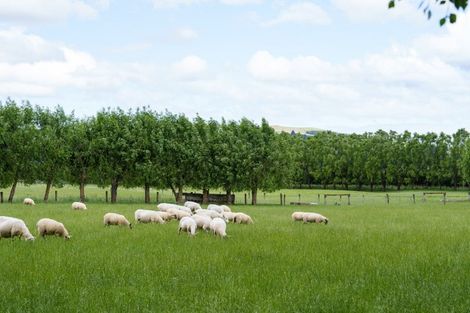 Photo of property in 280 Wairongoa Road, North Taieri, Mosgiel, 9092