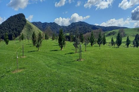 Photo of property in 151 Makgill Road, Maungatautari, Cambridge, 3494