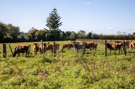 Photo of property in 16 Woolrich Road, Te Kowhai, Hamilton, 3288