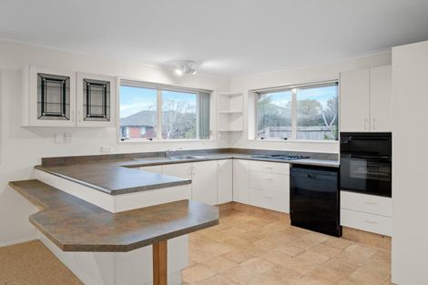 Photo of property in 4 Netherby Lane, Shirley, Christchurch, 8061