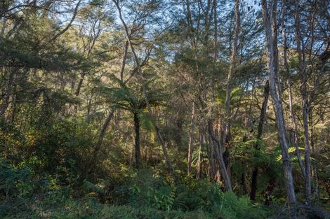 Photo of property in 168 Graham Valley Road, Motueka Valley, Motueka, 7196