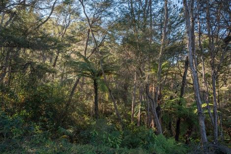 Photo of property in 168 Graham Valley Road, Motueka Valley, Motueka, 7196