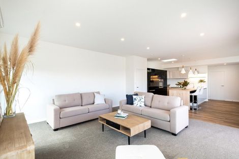 Photo of property in 13 Grooby Place, Havelock North, 4130