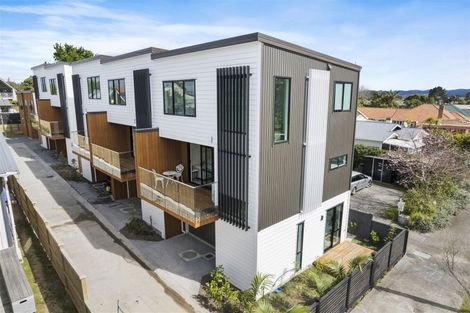 Photo of property in 28e Walker Road, Point Chevalier, Auckland, 1022