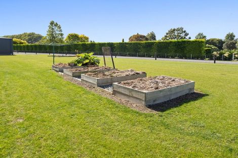 Photo of property in 161 Wakanui Road, Elgin, Ashburton, 7777