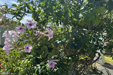 Photo of property in 19 Chums Road, Paraparaumu Beach, Paraparaumu, 5032