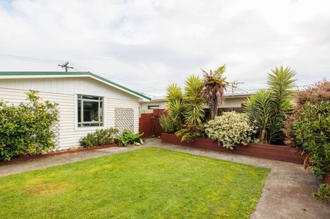Photo of property in 48 Bamfield Street, Ashhurst, 4810