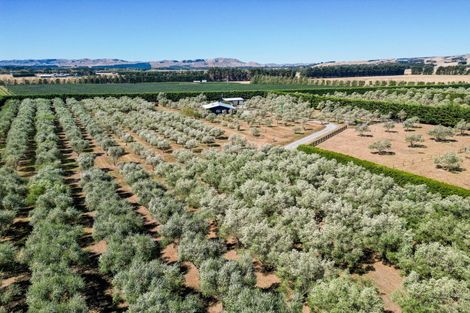 Photo of property in 399a Lake Ferry Road, Dyerville, Martinborough, 5781