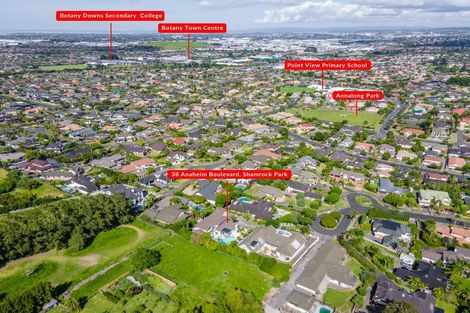 Photo of property in 38 Anaheim Boulevard, Shamrock Park, Auckland, 2016