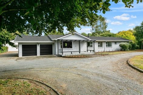 Photo of property in 66 Mill Road, Ohaupo, 3881