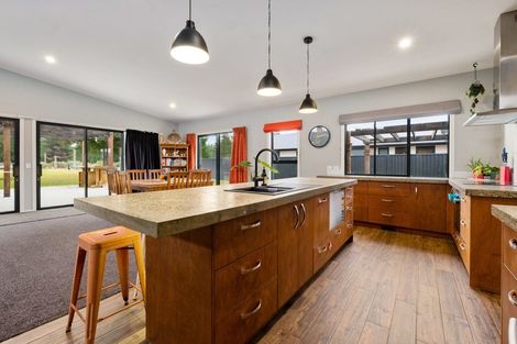 Photo of property in 73 Larch Crescent, Alexandra, 9320